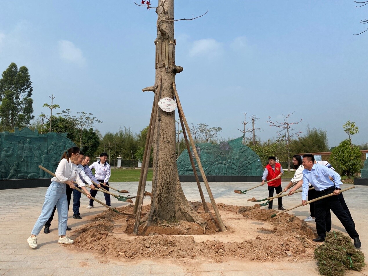 傳承紅色基因——開平市退役軍人事務局組織“踐行初心使命”植樹活動_3