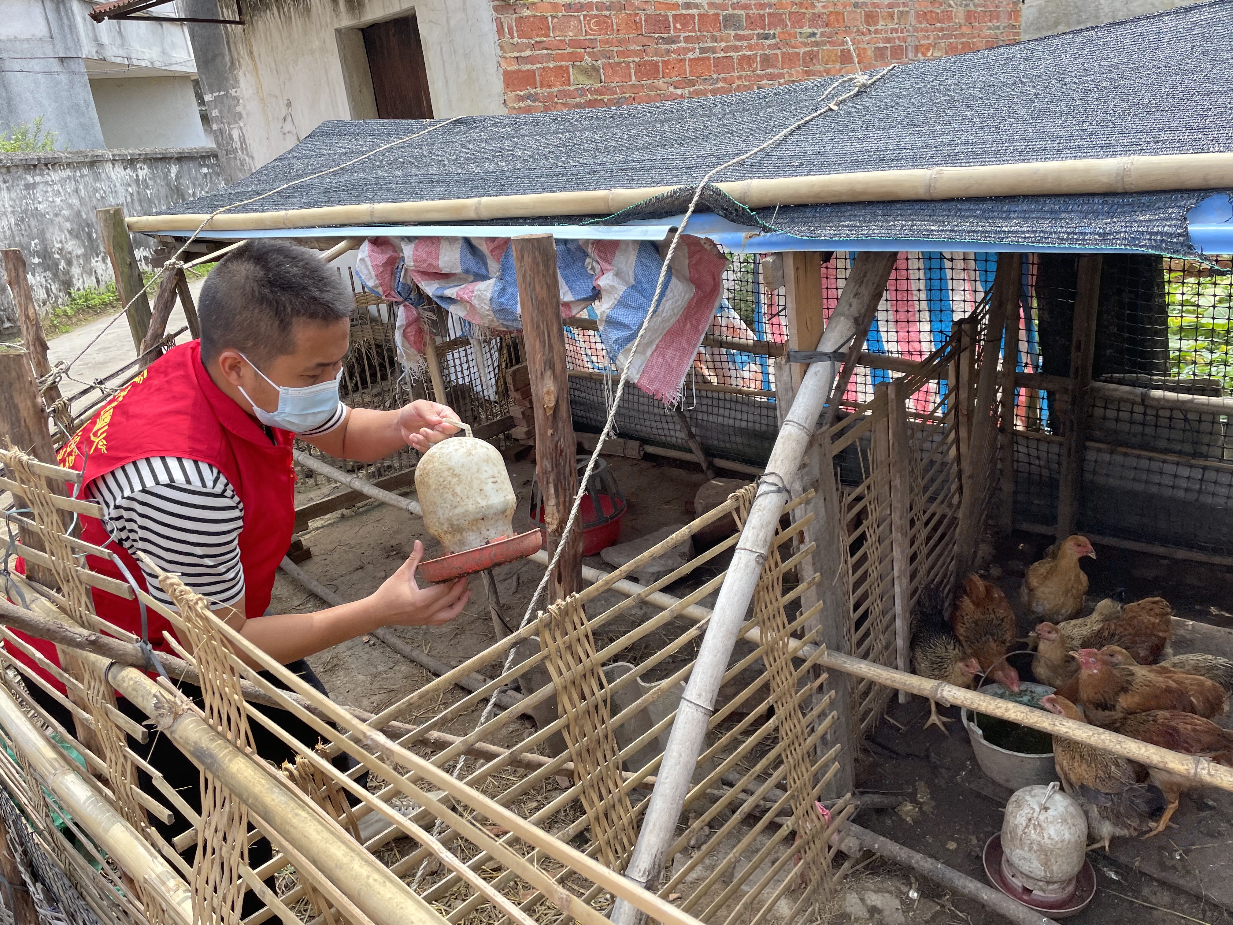 上洞網格員幫助群眾照顧畜禽，解決他們的后顧之憂.jpg