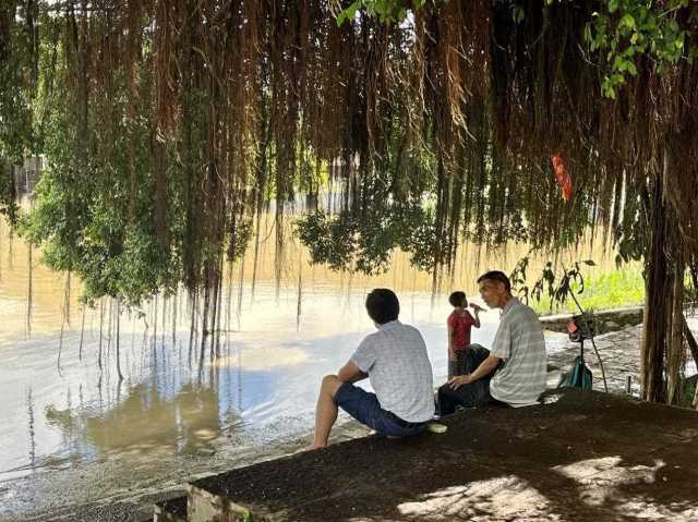 村民在大榕樹下乘涼聊天，黃姨（中）在岸邊唱歌。伍思懿 攝 