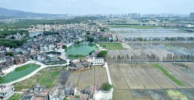 從長沙街道西溪村上空俯瞰，遠處青山疊翠、高樓聳立，近處屋舍儼然，池塘星羅棋布，農田成方連片