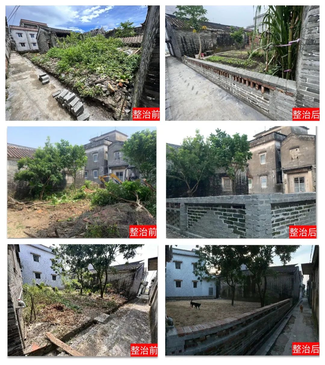 儒東.jpg 圖片