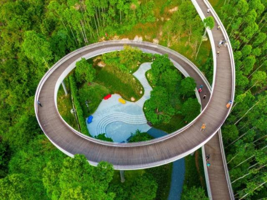 珠海紅花山森林公園。圖源：南方+ 