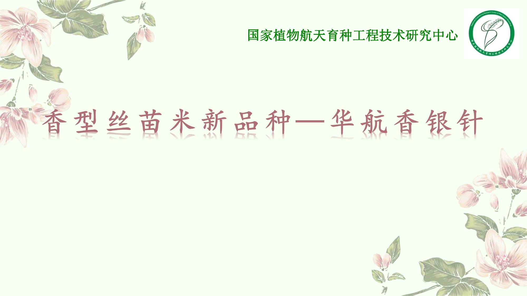 優(yōu)質豐產抗病香型絲苗米品種-華航香銀針-華航31號等品種簡介-1.jpg