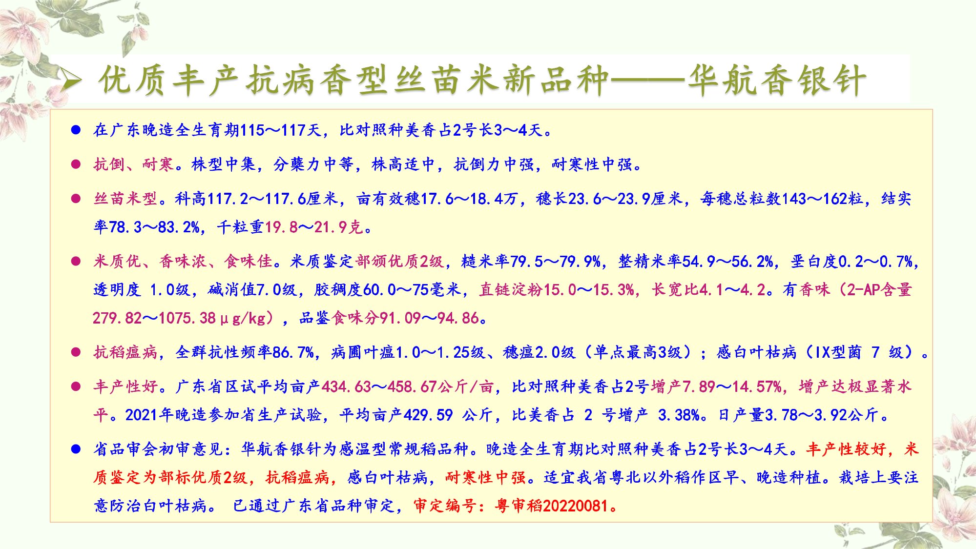 優(yōu)質豐產抗病香型絲苗米品種-華航香銀針-華航31號等品種簡介-2.jpg