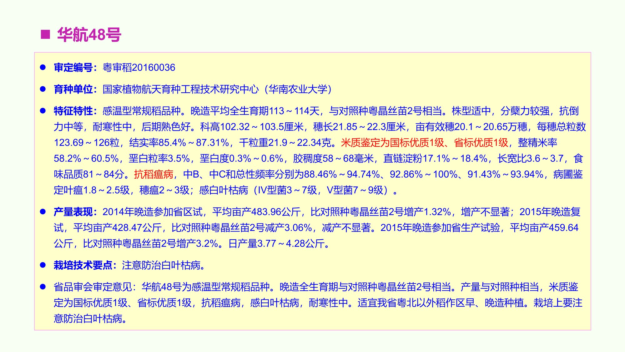 優(yōu)質豐產抗病香型絲苗米品種-華航香銀針-華航31號等品種簡介-7.jpg