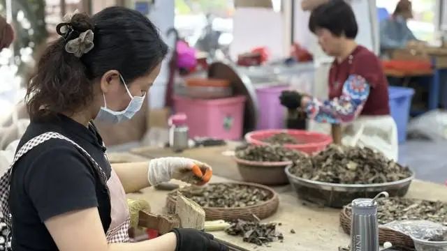 沉香加工利用。