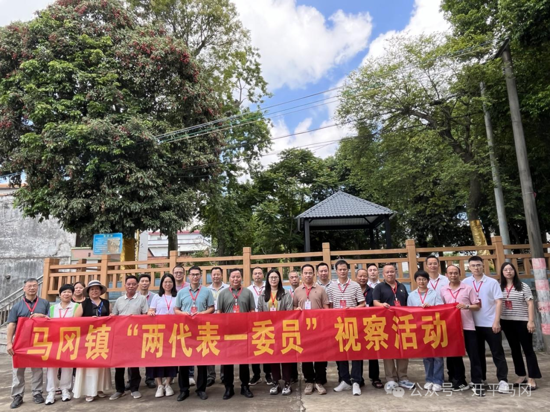 深入一線督項(xiàng)目 集智聚力促民生——馬岡鎮(zhèn)開展第二季度“兩代表一委員”集中視察活動 border=
