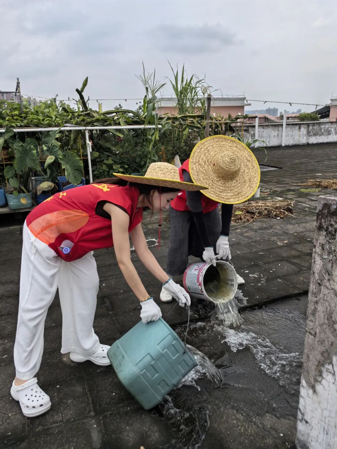 圖片