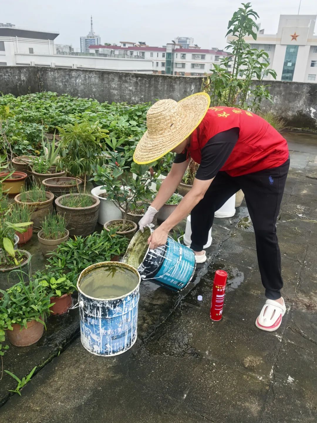 圖片