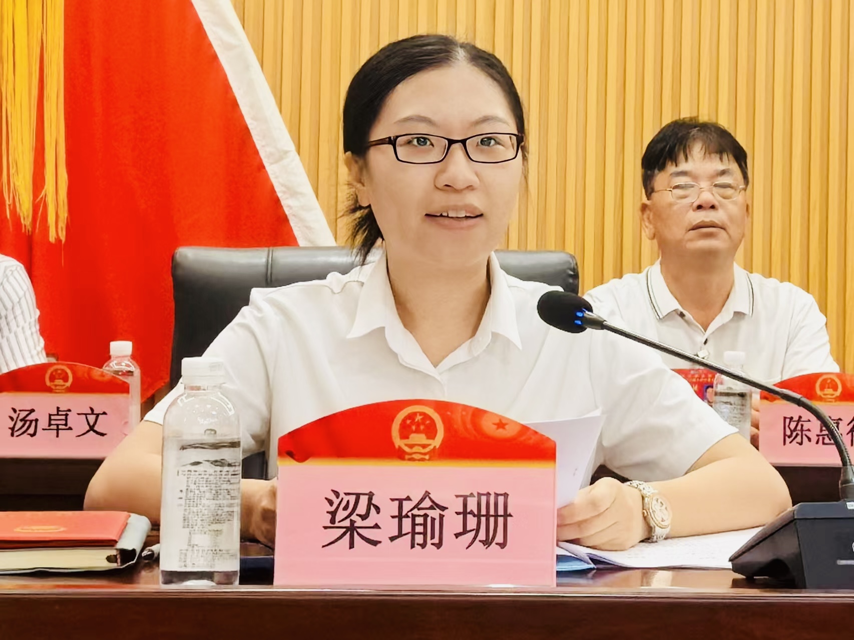 6.新當(dāng)選鎮(zhèn)長講話.jpg