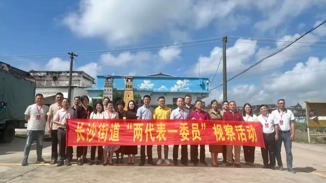 年中督進(jìn)度，監(jiān)督民生實(shí)事見(jiàn)實(shí)效——長(zhǎng)沙街道“兩代表一委員”開(kāi)展民生實(shí)事監(jiān)督活動(dòng)