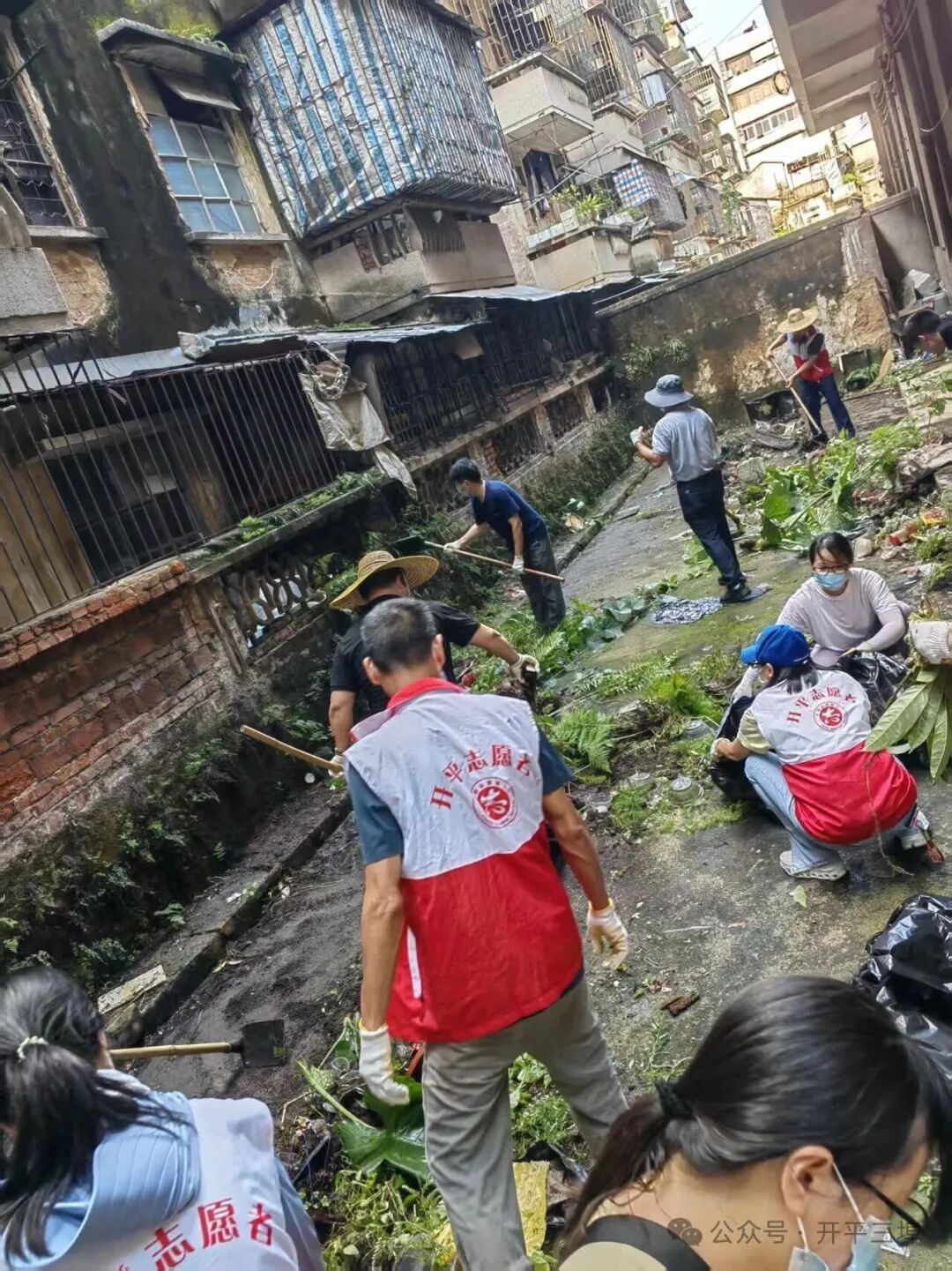 圖片