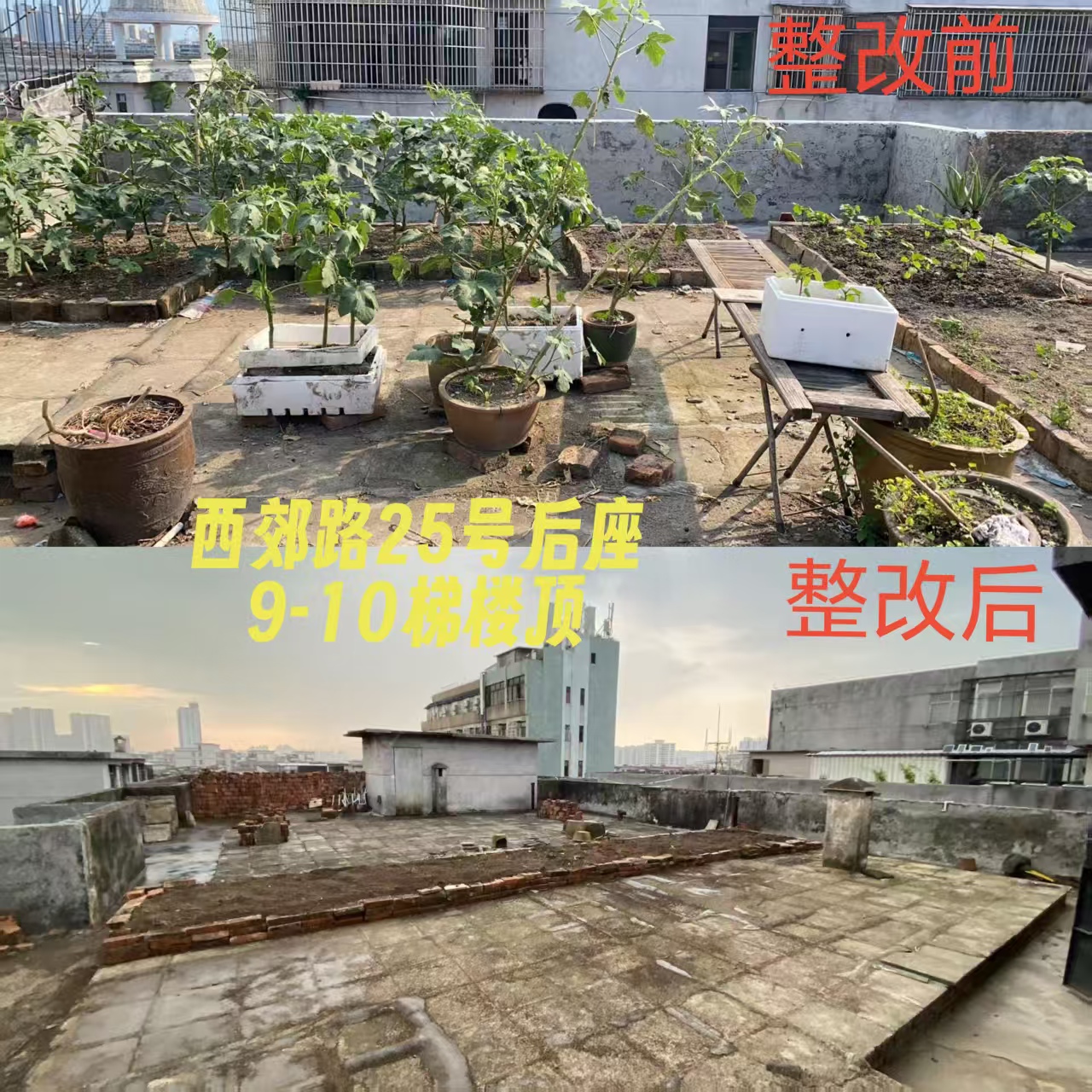 微信圖片_20251004192219_1054_51.jpg