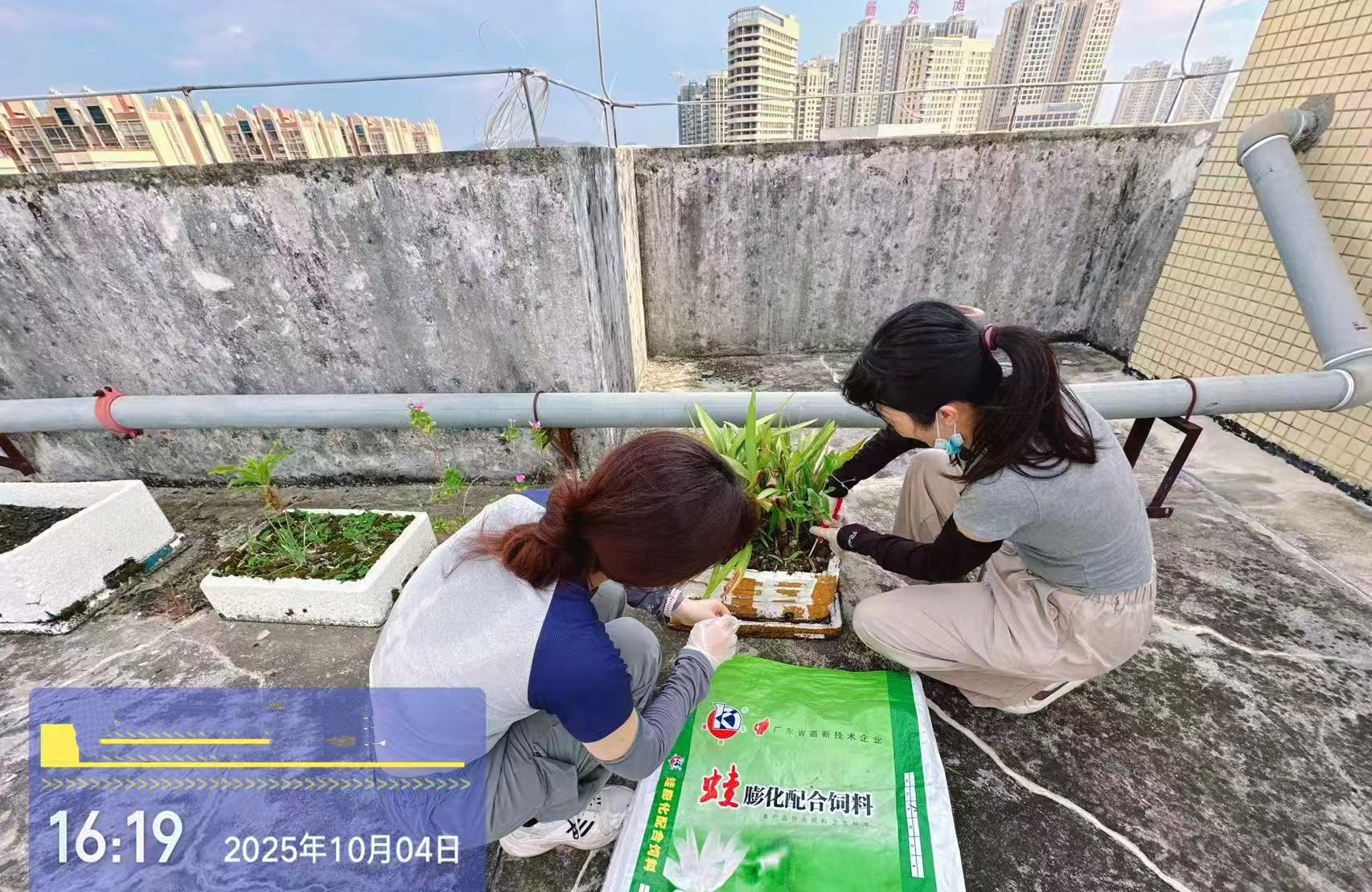 微信圖片_20251005214821_15_1.jpg