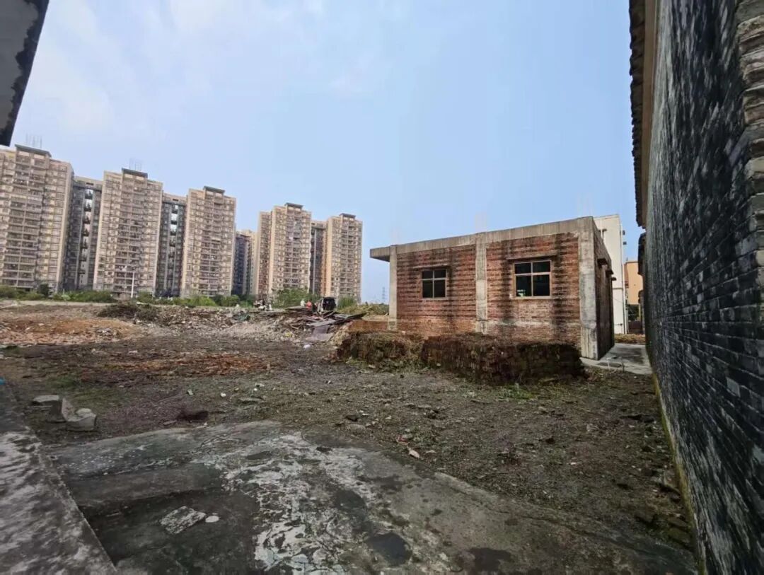 整治后1.jpg
