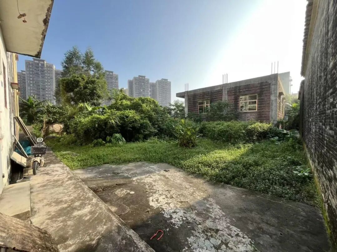 整治前1.jpg