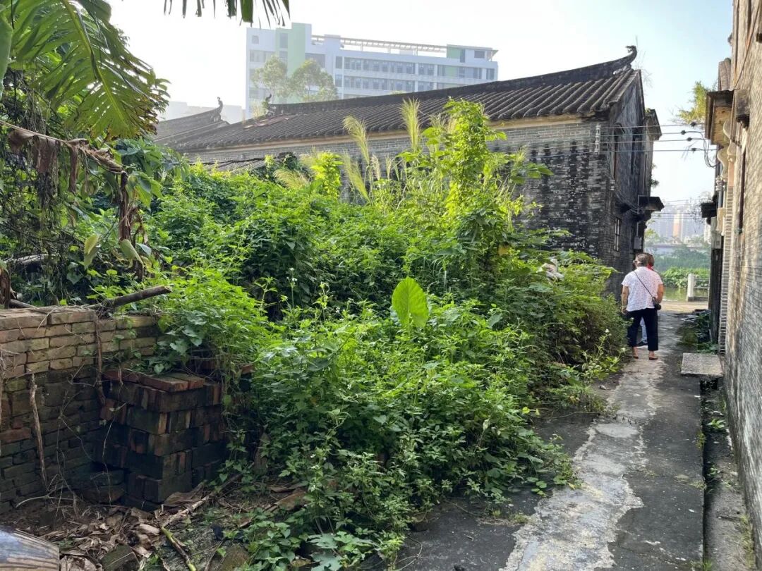 整治前4.jpg