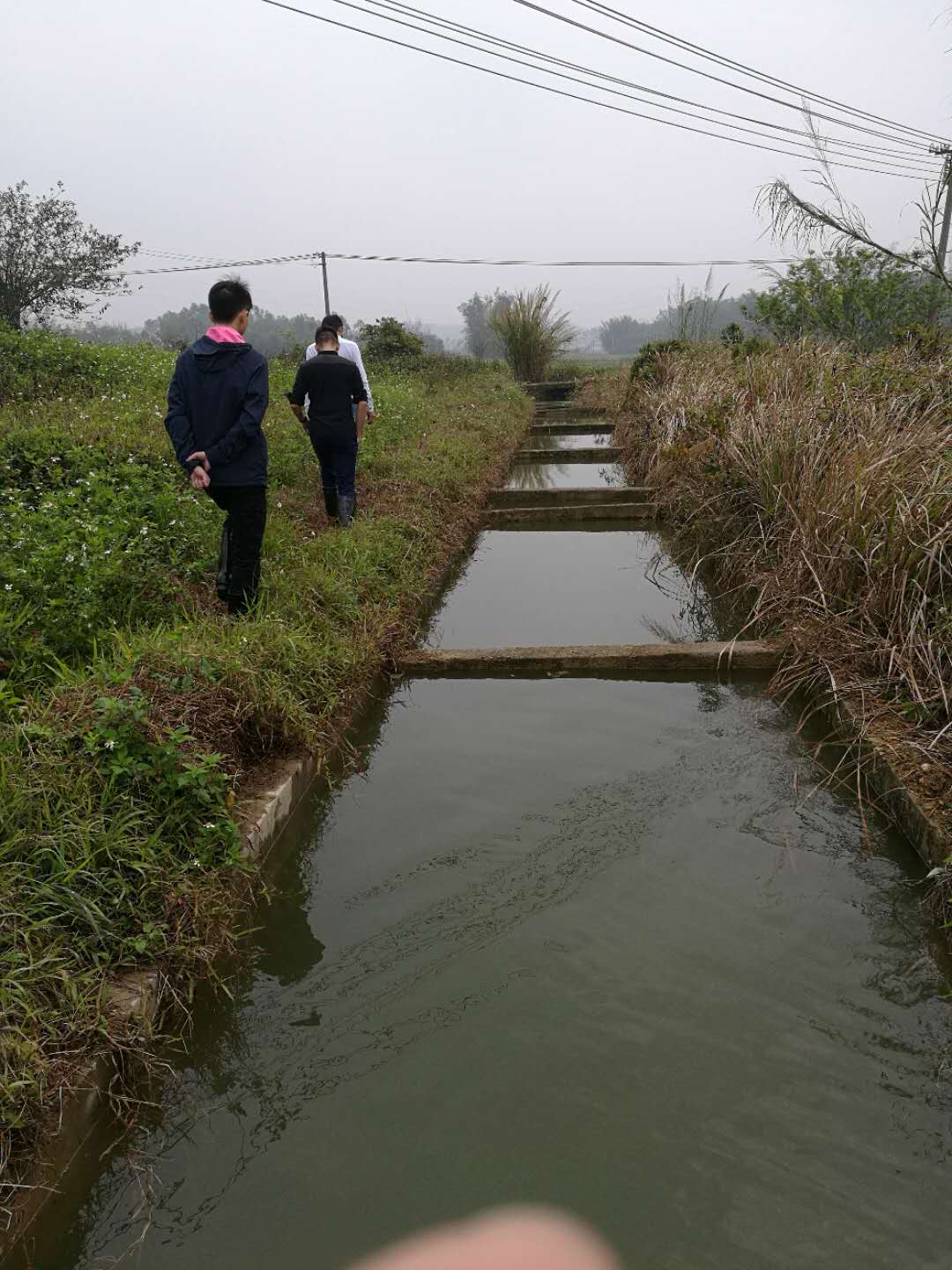 3月14日大沙河水流至百合鎮(zhèn)內(nèi)3.jpg