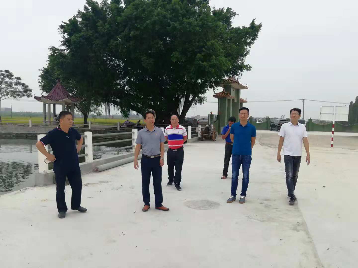 朱主任帶隊到平原督導(dǎo)三清三拆三整治工作.jpg 朱主任帶隊到平原督導(dǎo)三清三拆三整治工作.jpg